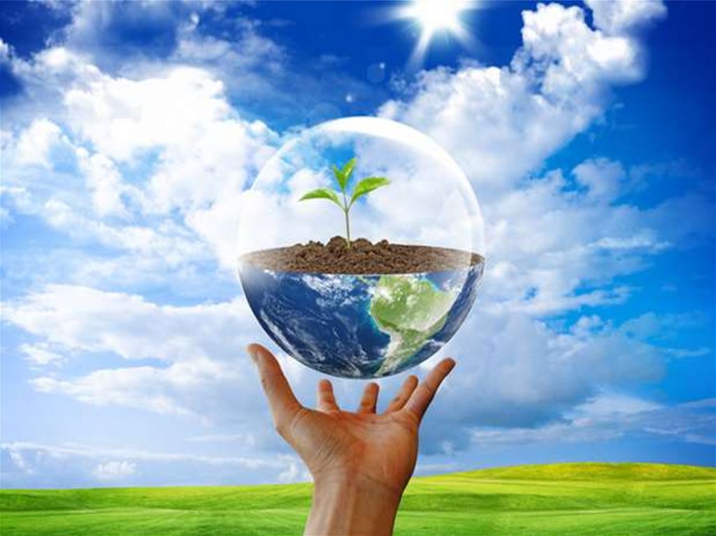 «Табиғатты аяла» жас өлкетанушылар, экологтар мен табиғат зерттеушілерінің республикалық форумының облыстық кезеңін өткізу ережесі