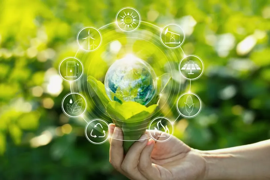 «Экологиялық білім берудің үздік ұйымы» Ұлттық байқауының облыстық кезеңі өткізілді