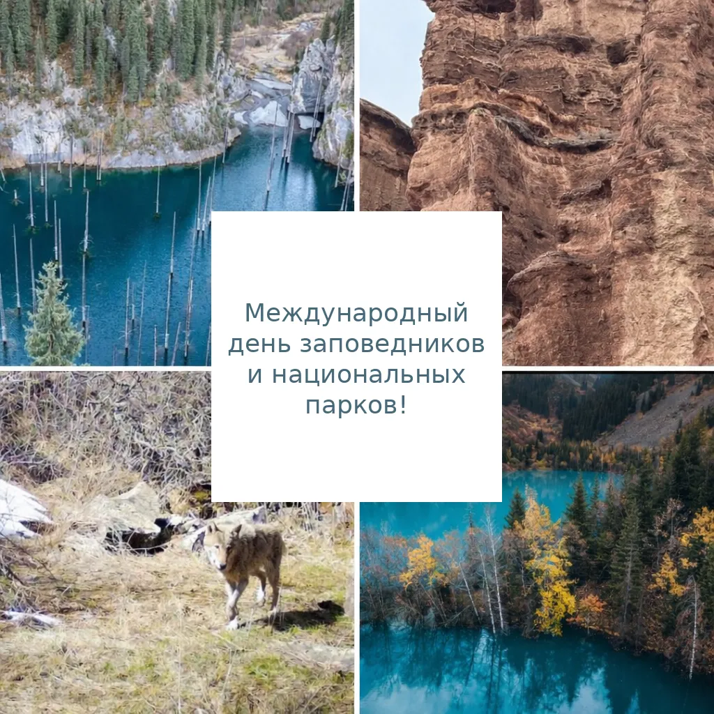 Фестиваль «Золотой фонд природы — достояние человечества» состоится по случаю Всемирного дня заповедников и национальных парков.