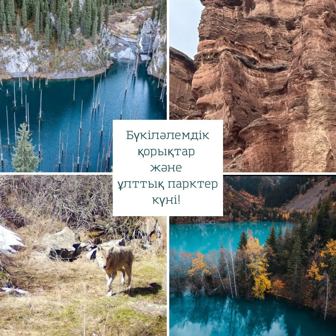 Дүниежүзілік қорықтар мен ұлттық парктер күніне орай «Табиғаттың алтын қоры – адамзат аманаты» фестивалі өткізіледі